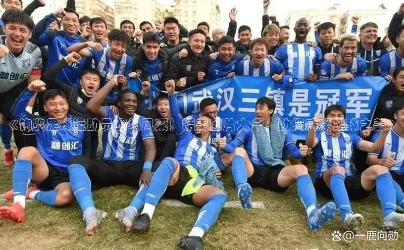 恒盛平台登录入口网站雷柏科技《饱览足球运动员赛场风采！精美图片大全，助您感受足球之美》