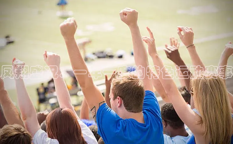 凤翔盛况：一年一度的特色运动赛事