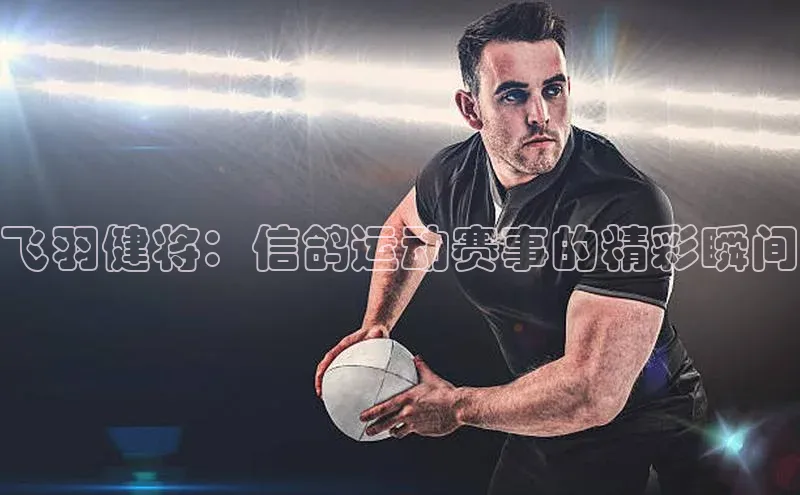飞羽健将：信鸽运动赛事的精彩瞬间