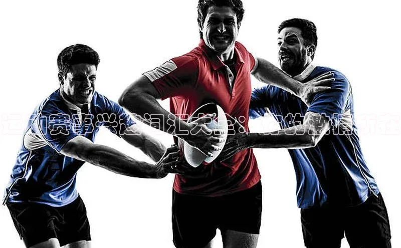 运动赛事兴趣词汇大全：你的激情所在