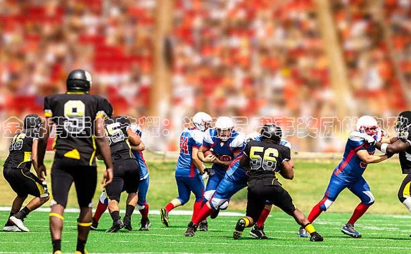 金牌背后的荣耀：运动员赛事奖励的奥秘