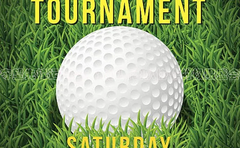 守望先锋运动会：竞技与团队协作的极限盛会