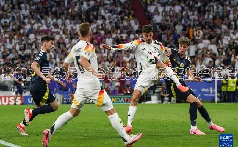 未知：寻找最适合你的运动赛事报名途径