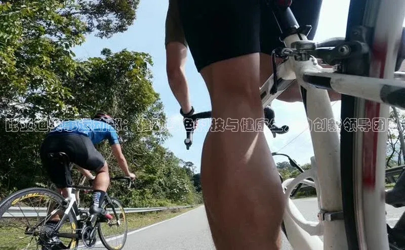 比亚迪赛事运动部：推动绿色科技与健康生活的创新领导团队