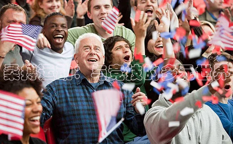 桑搏运动：与竞技的多元世界