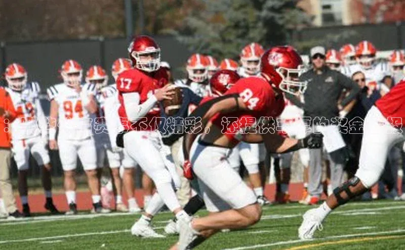 ：哪些体育赛事不仅精彩，还提供丰厚的奖金回报