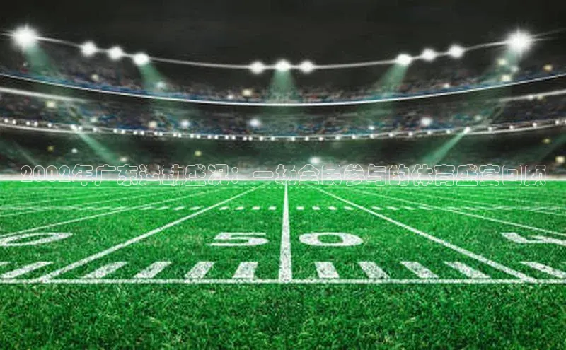 2002年广东运动盛况：一场全民参与的体育盛宴回顾