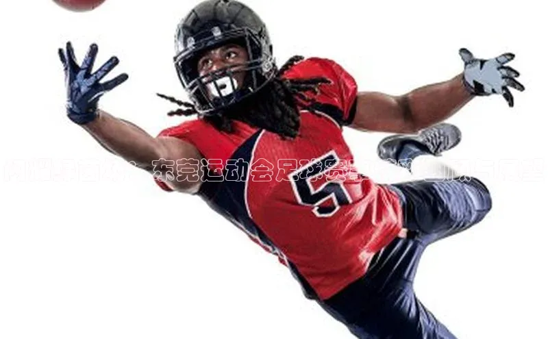 闪耀绿茵场：东莞运动会足球赛事精彩回顾与展望