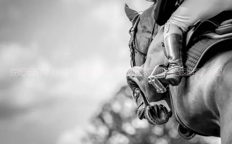 云端赛事：2024湖北省运动会的精彩瞬间与深远影响分析